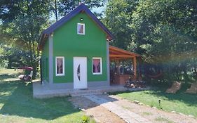 Green House